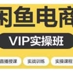 2021闲鱼副业月入过万进阶课程，掌握闲鱼电商所需的各项技能