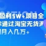 盗坤淘宝店群盈利5W+项目全流程，教你通过淘宝无货源做到月入几万+