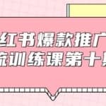 狼叔小红书爆款推广引流训练课第十期，手把手带你玩转小红书，轻松月入过万