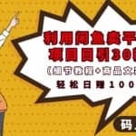 利用闲鱼卖平台项目课程资源日引流30+精准粉丝，轻松日赚100+，积累人脉可实现二次变现（细节教程+商品文案）