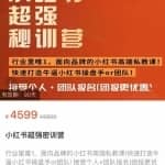 小红书超强密训营，爆文制造技巧，低预算高roi投放技巧，内容营销思维