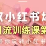 狼叔小红书爆款推广引流训练课第12期，手把手带你玩转小红书