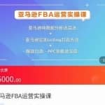 亚马逊FBA运营实操课，纯数据分析选品法，完美Listing打造方法，爆款打造PPC策略及实操