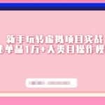 新手玩转虚拟项目实战，揭秘单品1万+大类目操作模式