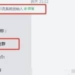 如何利用视频号IP进行被动精准引流？