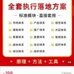外面卖198·电商企业经营管理工具：全套执行落地方案标准模块·直接套用