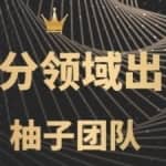 闲鱼细分领域暴力出单玩法，低成本轻松做到单号月入5000+