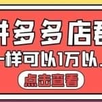 大凯电商·拼多多店群单店一样可以产出1万5以上利润【付费文章】