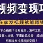 随风短视频变现项目：从0到1教你打造爆款短视频变现，在家发视频就能赚钱