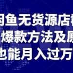 卓让·闲鱼无货源店群，掌握闲鱼爆款方法及原理，也能月入过万
