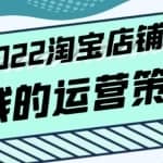 震宇老师·2022年淘宝店铺赚钱的运营策略，一套能够盈利的赚钱打法