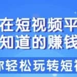 柚子团队课程：揭秘在短视频平台中你不知道的赚钱方法，带你轻松玩转短视频赚钱！