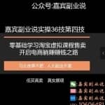 嘉宾副业说实操36技第四技：零基础学习淘宝虚拟课程售卖开启电商躺赚赚钱之路