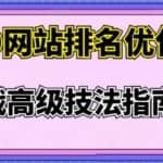 樊天华·SEO网站排名优化实战高级技法指南，让客户找到你