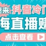 最新抖音冷门简单的蓝海直播赚钱玩法，流量大知道的人少，可以做到全无人直播