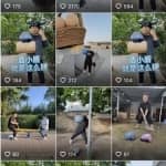 仅需一招，轻松玩转0成本刚需产品，月入万元+！