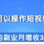柚子团队内部课程：人人都可以操作短视频赚钱，简单的副业月增收3000+