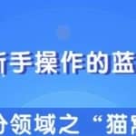 适合新手操作的细分蓝海项目，宠物赚钱的门道