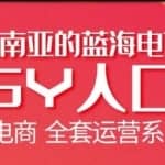 跨境蓝海电商玩转虾皮Shopee基础全套运营系列课程【优梯跨境】入门至高手