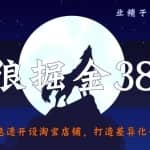 侠狼掘金38招第16招急速开设淘宝店铺，打造差异化开启躺赚之路