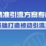 制定精准引流方案专栏6.0，0基础打造被动引流系统