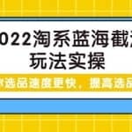 2022淘系蓝海截流玩法实操：让你选品速度更快，提高选品质量