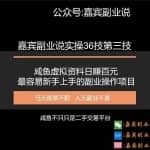 嘉宾副业说实操36技第三技：咸鱼虚拟资料日赚百元，最容易新手上手的副业操作项目