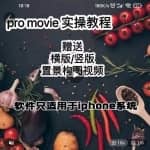 漆十二美食摄影，25节promovie实操高手课节