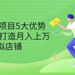 拆解虚拟项目5大优势，0基础教你打造月入上万虚拟店铺