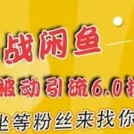 闲鱼实战被动引流6.0技术，坐等粉丝来找你，打造赚钱的ip