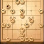 副业项目：大冷门项目直播下象棋带货！