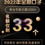 2022年全新口子，手机批量搬砖玩法，一部手机日撸2000+