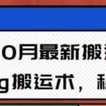 10月抖音最新搬运技术，卡Bug搬运术，秒过抖+