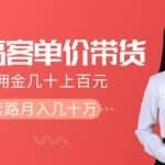 抖音短视频带货高单价项目，一单佣金几十上百元，抖音核心套路月入几十万