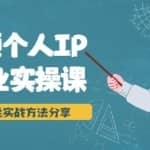 短视频个人IP商业实操课，百万粉丝实战方法分享，小白也能实现流量变现