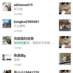 闲鱼引流宠物粉卖阿猫阿狗一单利润1000+，你干不干？