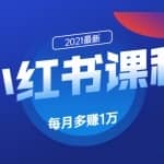 九京小红书精准引流课程1.0：如何利用小红书快速获取客源，每月多赚1万