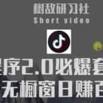 树敌研习社6月抖音赚钱课程：抖音小程序2.0必爆套路零粉无橱窗日赚百元玩法