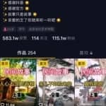 抖音冷门赚钱小项目，可批量矩阵运营