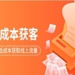 素宣成长学院低成本获客变现营，如何低成本获取线上流量