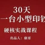康哥30天打造一台小型印钞机：躺赚30万的项目完整复盘