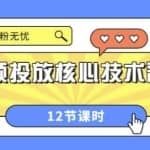 短视频投放核心技术晋级课：掌握投放，涨粉无忧（12节课时）