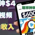 只需要上传视频然后每分钟赚4美元项目：详细操作步骤，新手也可操作