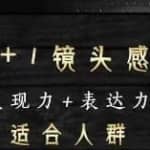 素子表现力训练营，提高自信力+表现力+表达力+表演人设，打造个人魅力ip