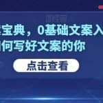 快速文案宝典，0基础文案入门，给不知道如何写好文案的你