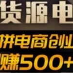 抖上拼无货源电商创业项目、外面收费12800，日赚500+的案例解析参考