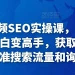 丹迁·短视频SEO实操课，帮助你从短视频SEO小白变高手，获取长期稳定的精准搜索流量和询单