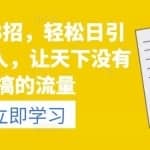 引流108招，轻松日引流100+人，让天下没有难搞的流量