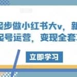 零起步做小红书大v，新手从0起号运营，变现全套攻略