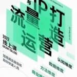 大蓝流量运营&个人ip打造课，短视频带货/爆款文案/流量运营/直播入门/镜头变现/流量商业